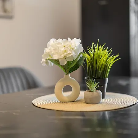 Apartament B5 Ruhiges 4-zimmer-studio Mit Balkon Halle (Saale)